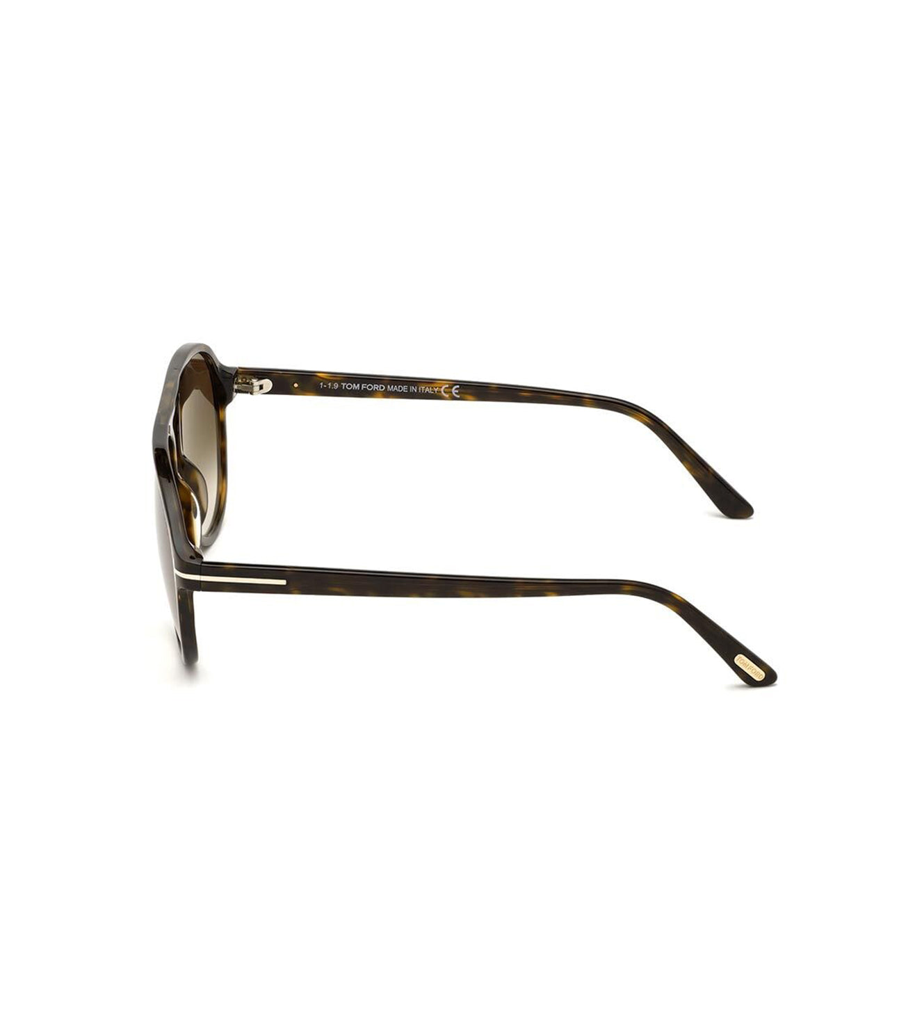 Tom Ford Men's Brown Grey Gradient Aviator Sunglasses