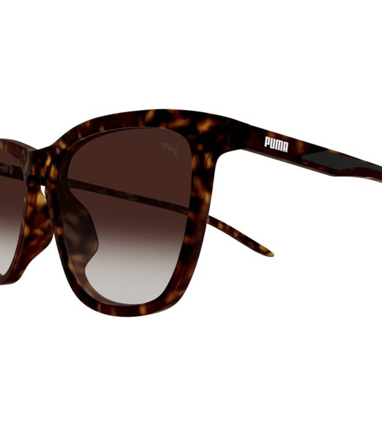 Puma Men's Brown Square Sunglasses