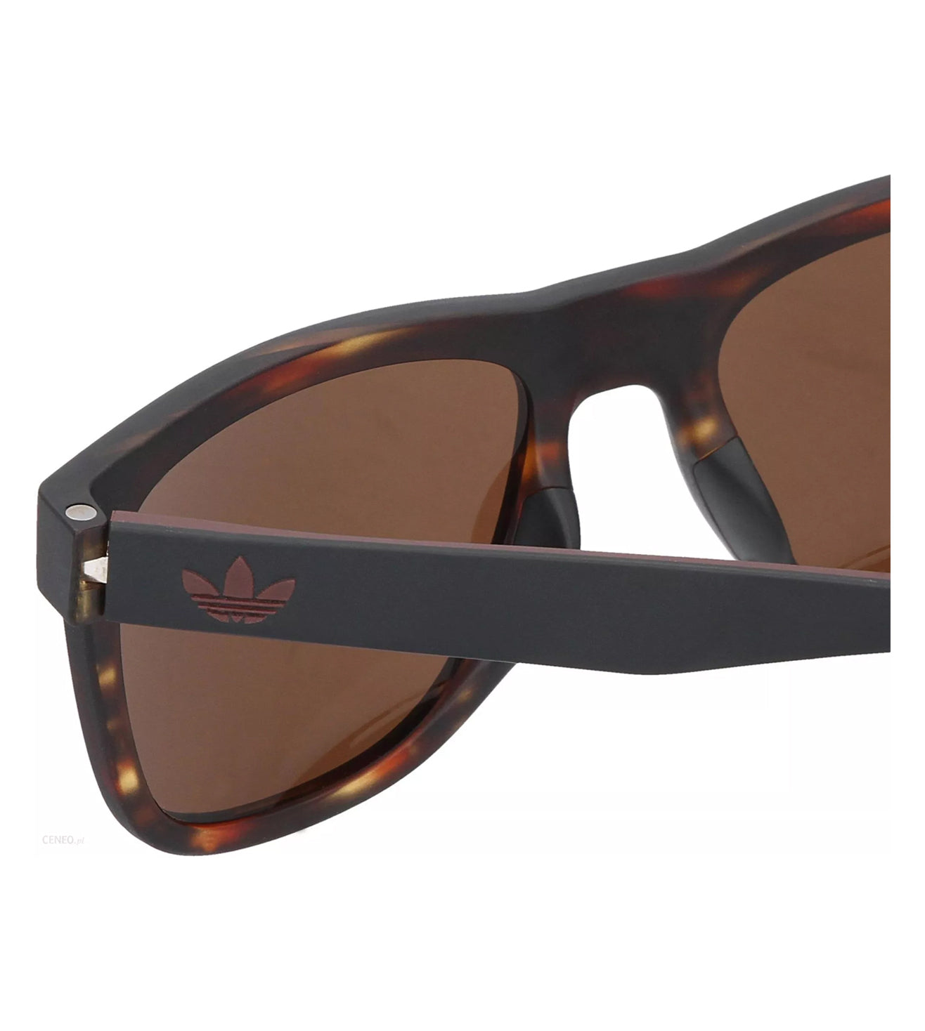 Adidas Originals Unisex Copper Square Sunglasses
