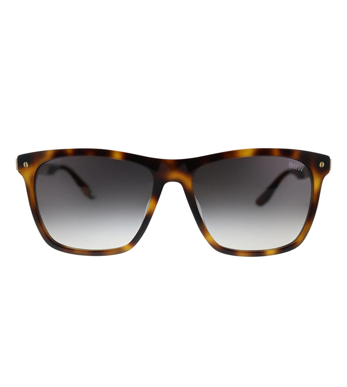 BMW Unisex Smoke Wayfarer Sunglasses