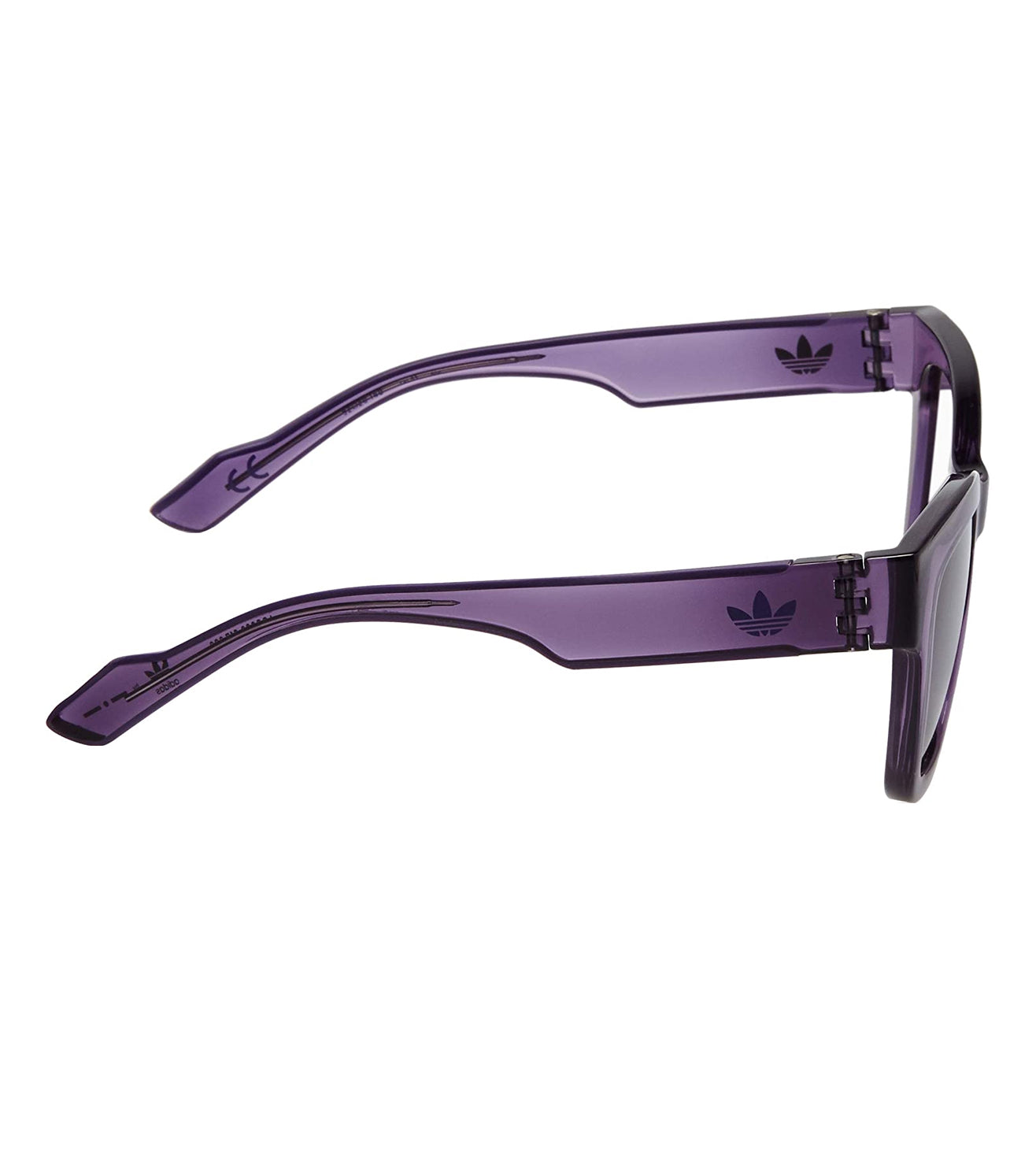 Adidas Originals Women's Purple Wayfarer Sunglasses
